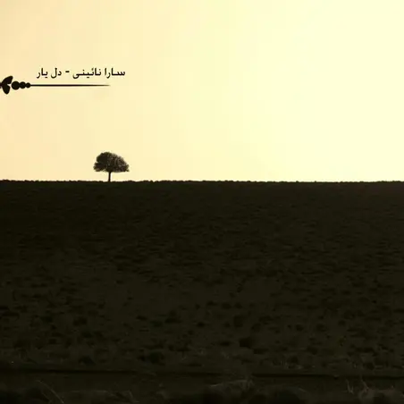 دل یار