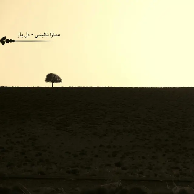 دل یار